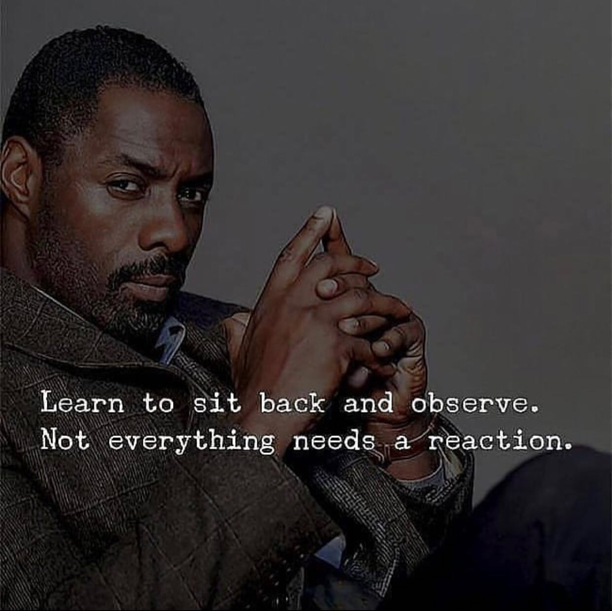 Learn To Sit Back And Observe Not Everything Needs A Reaction Phrases