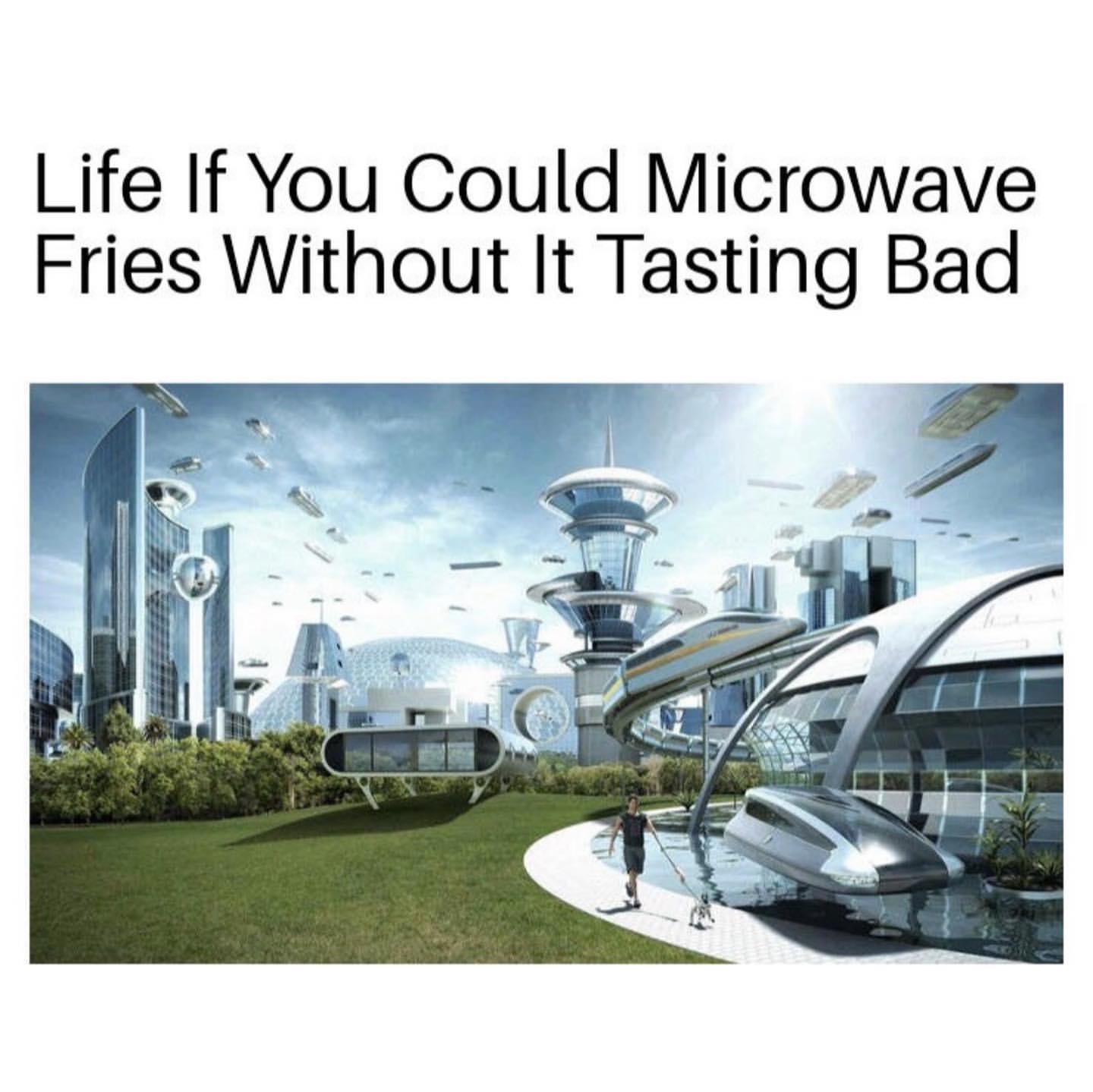 Life if you could microwave fries without it tasting bad.