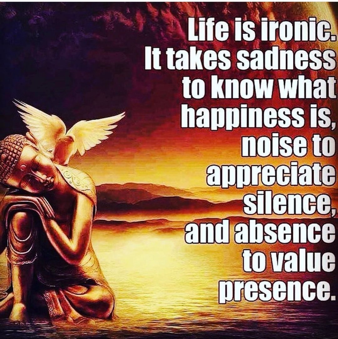 Life is ironic. It takes sadness to know what happiness is, noise to appreciate silence, to value presence.