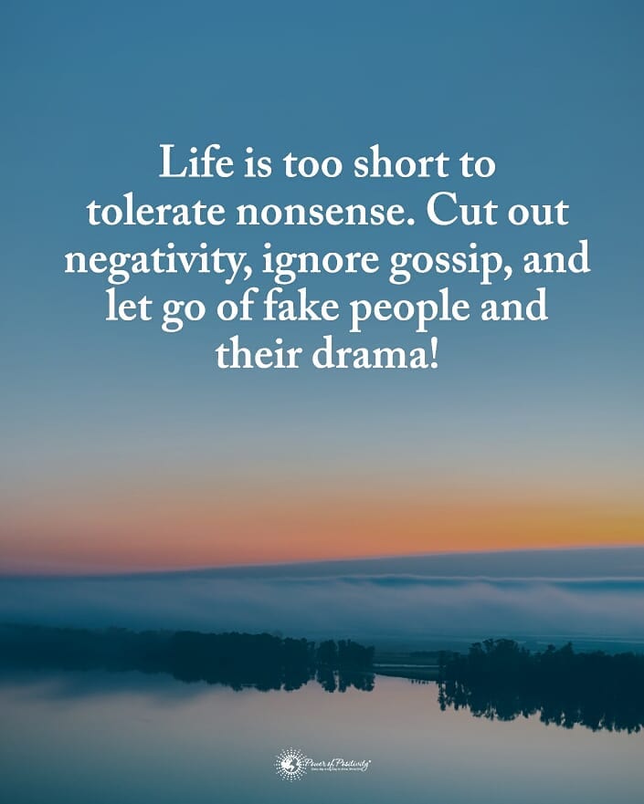 Life is too short to tolerate nonsense. Cut out negativity, ignore gossip, and let go of fake people and their drama!