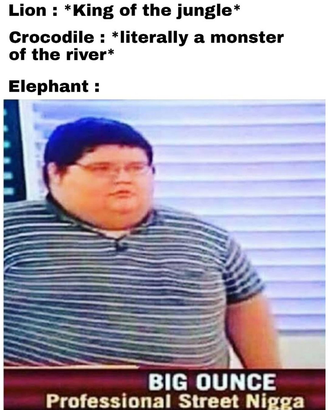 Lion: *King of the jungle*  Crocodile : *literally a monster of the river*  Elephant: Big ounce. Professional Street Nigga.