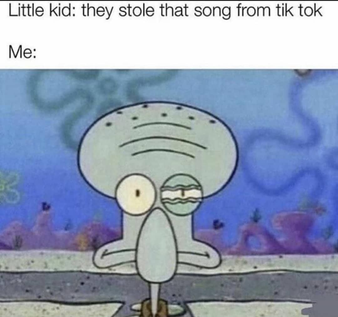 Little kid: they stole that song from tik tok.  Me: