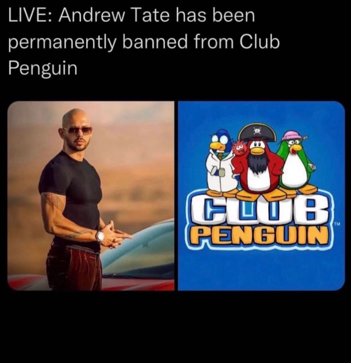 Live: Andrew Tate has been permanently banned from Club Penguin.