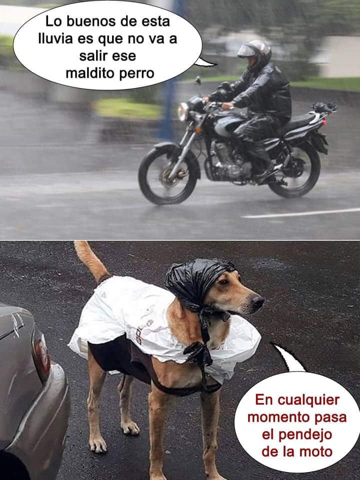 Lo buenos de esta lluvia es que no va a salir ese maldito perro. En cualquier momento pasa el pendejo de la moto.