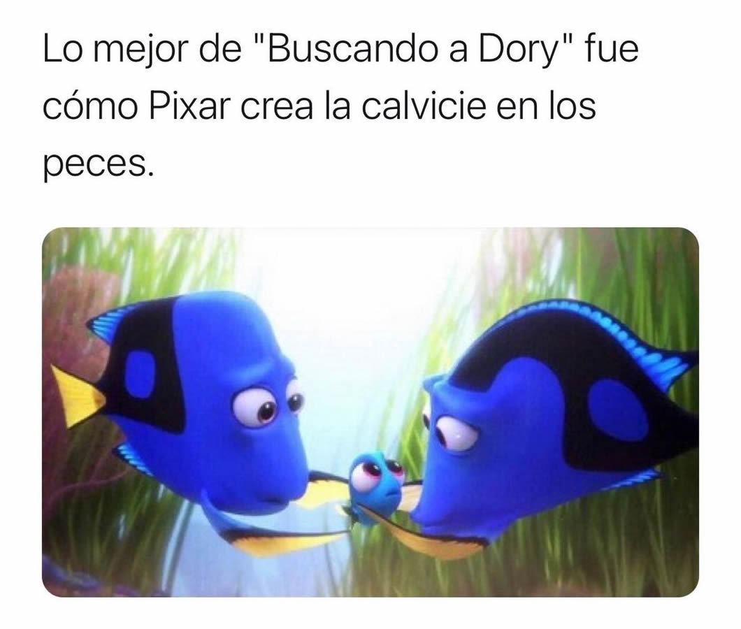 Lo mejor de "Buscando a Dory" fue cómo Pixar crea la calvicie en los peces.