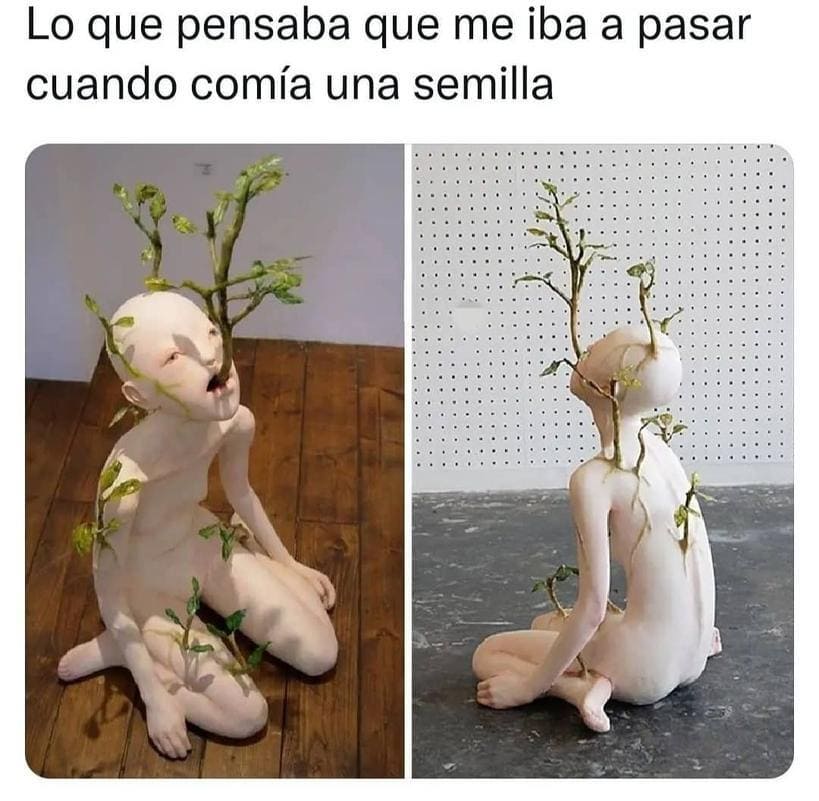 Lo que pensaba que me iba a pasar cuando comía una semilla.