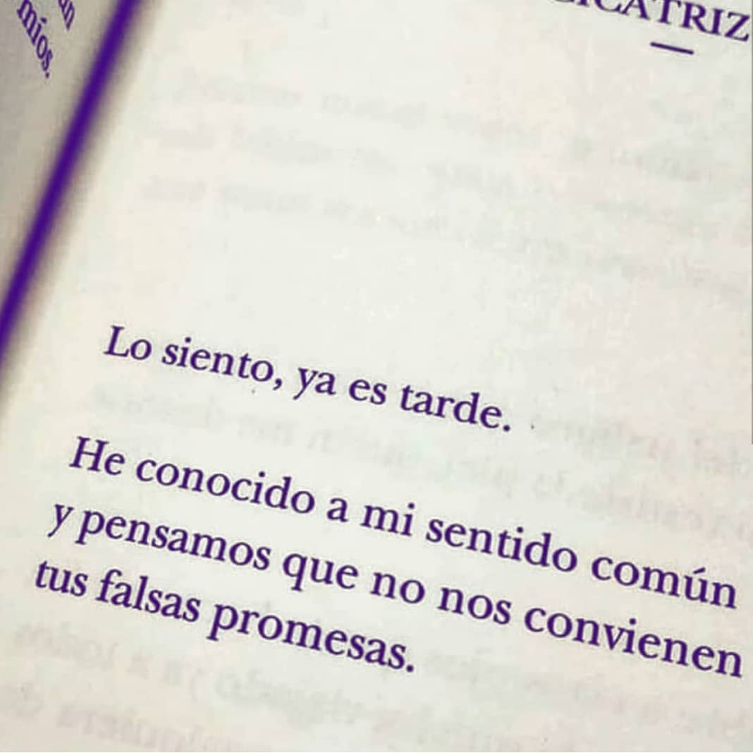 Lo siento, ya es tarde. He conocido a mi sentido común y pensamos que no  nos convienen tus falsas promesas. - Frases