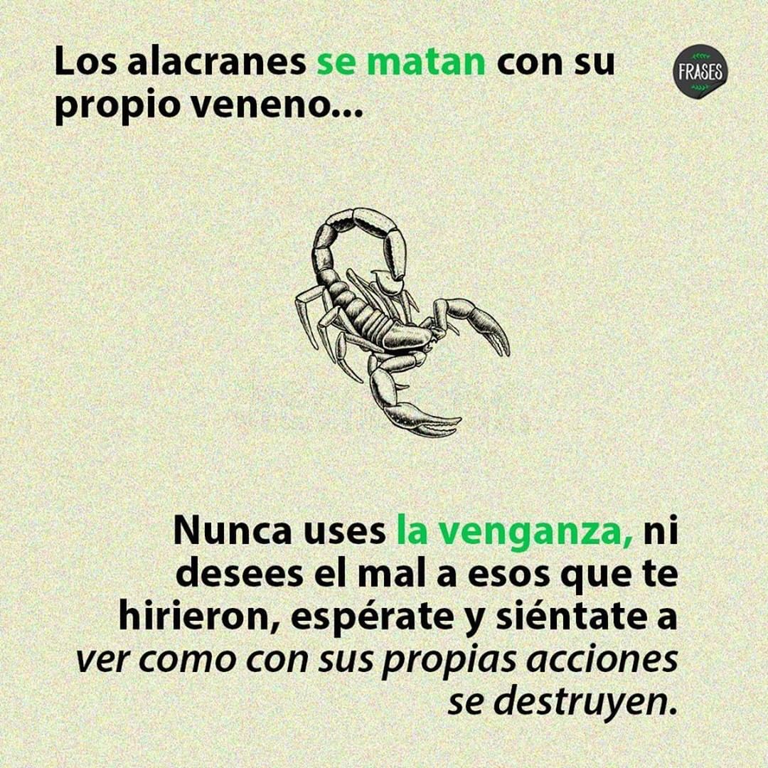 Los alacranes se matan con su propio veneno... Nunca uses la venganza, ni desees el mal a esos que te hirieron, espérate y siéntate a ver como con sus propias acciones se destruyen.