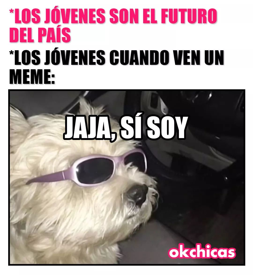 Los Jóvenes Son El Futuro Del País Los Jóvenes Cuando Ven Un Meme Jaja Sí Soy Memes 