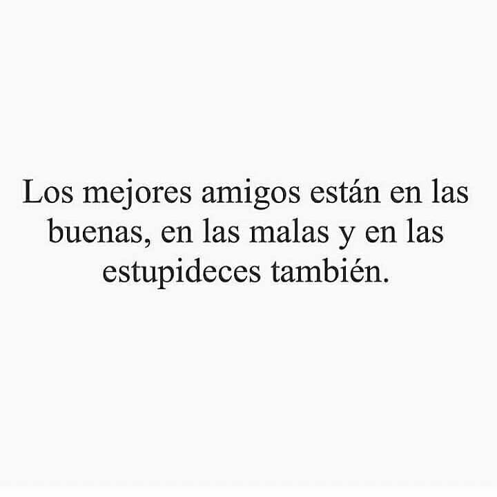 Los mejores amigos están en las buenas, en las malas y en las estupideces también.