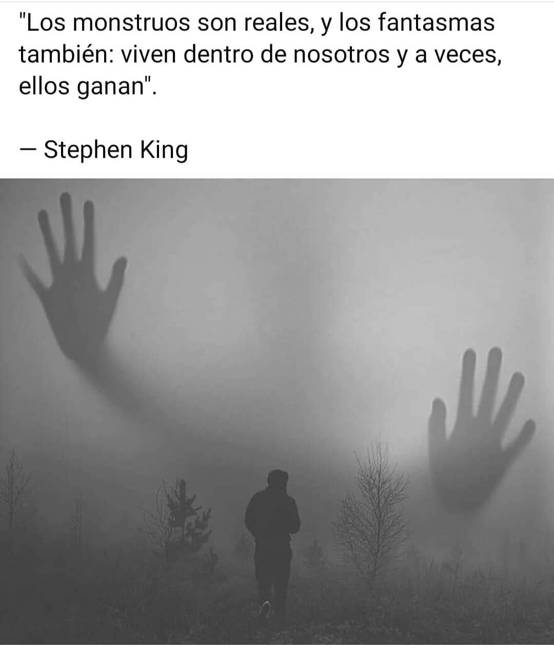 Los monstruos son reales, y los fantasmas también: Viven dentro de nosotros y a veces, ellos ganan. Stephen King.