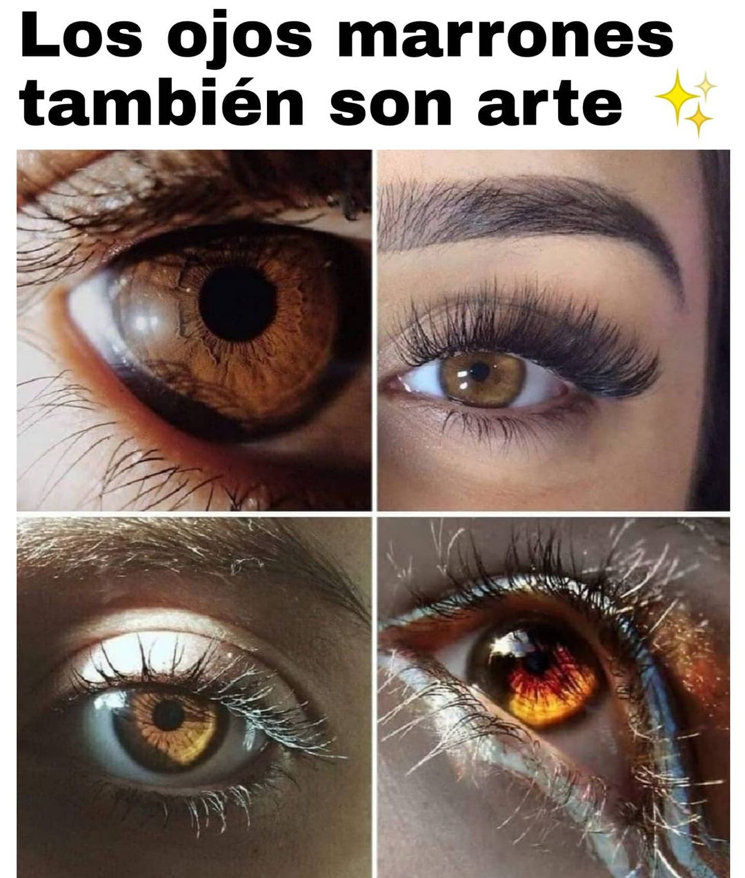 Los ojos marrones también son arte.