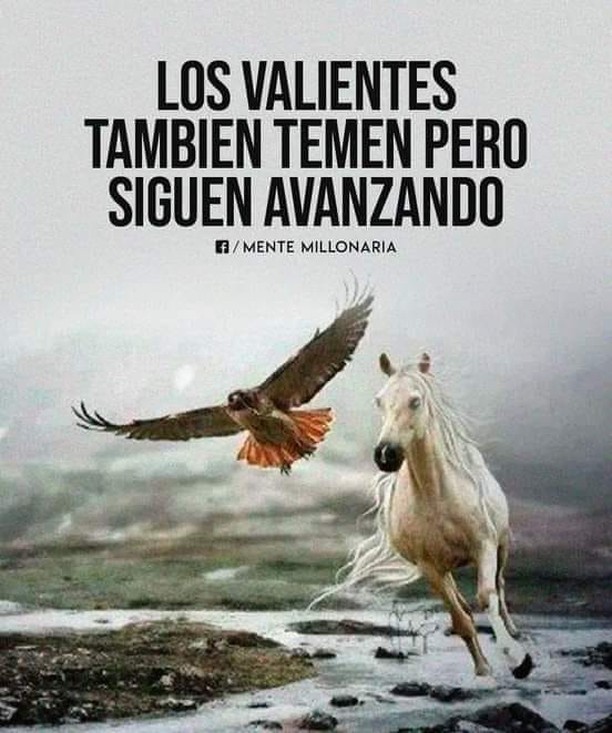 Los valientes también temen pero siguen avanzando.