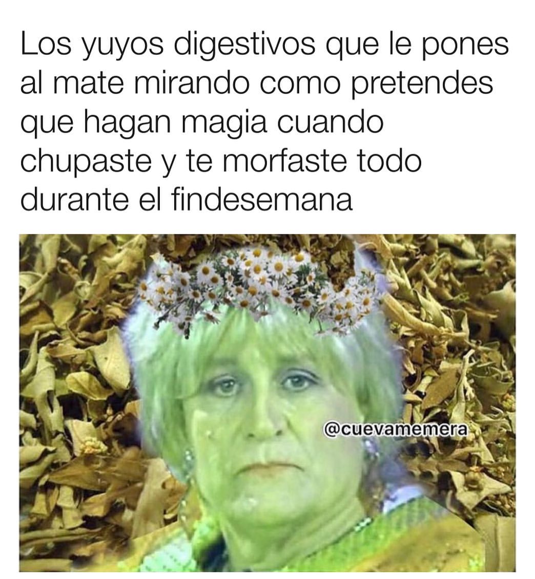 Los yuyos digestivos que le pones al mate mirando como pretendes que hagan magia cuando chupaste y te morfaste todo durante el findesemana.