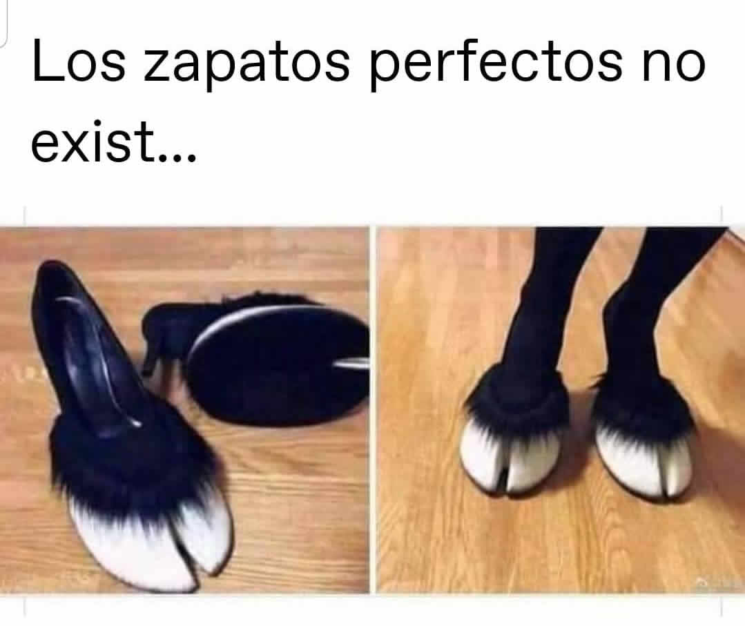 Los zapatos perfectos no exist...