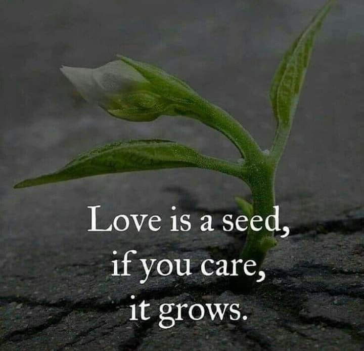 Love is a see if you care, it grows.