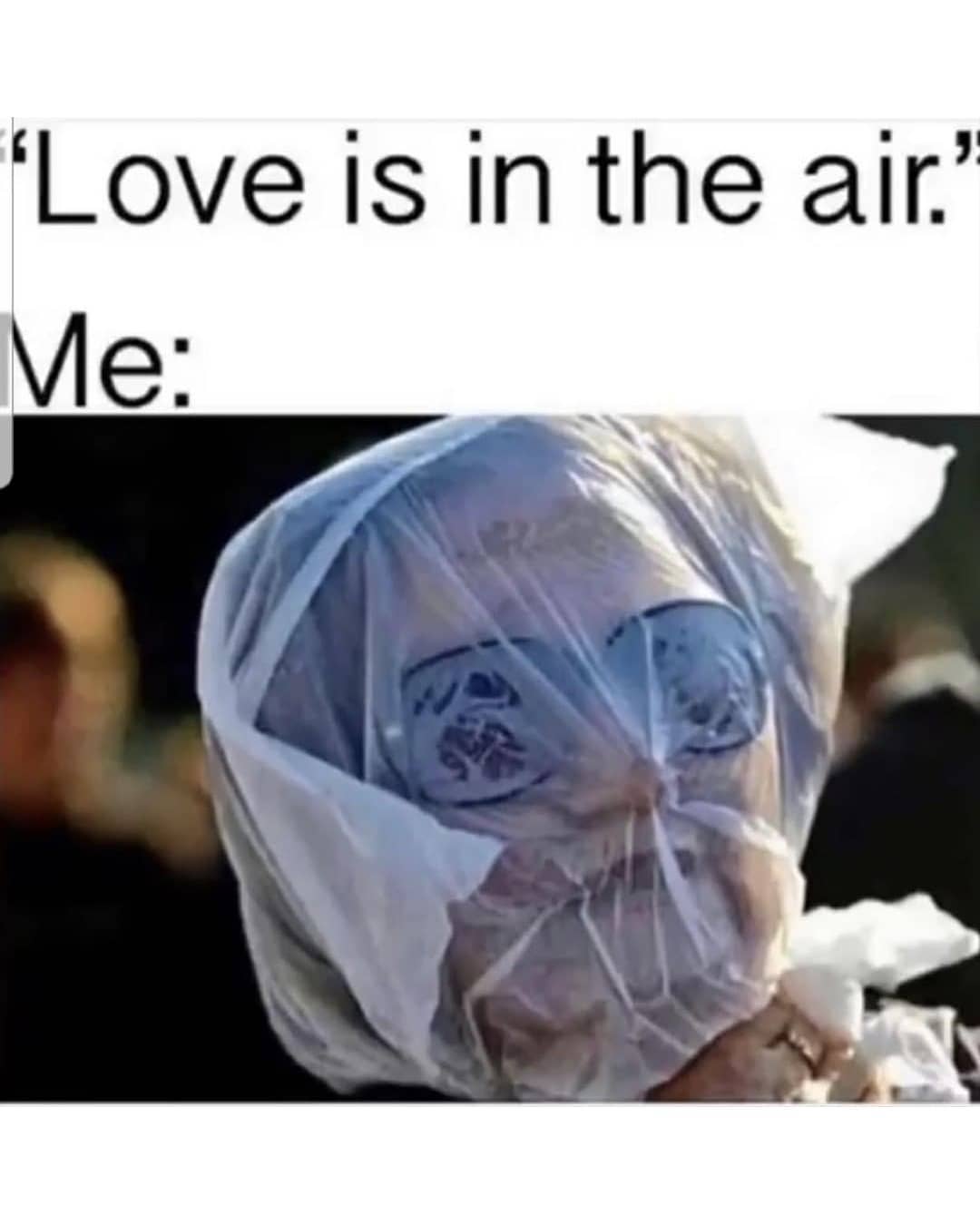 "Love is in the air."  Me:
