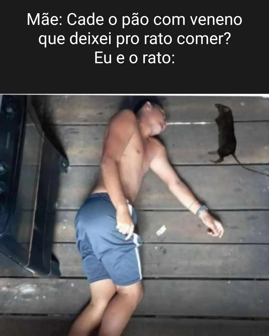 Mãe: Cade o pão com veneno que deixei pro rato comer? Eu e o rato: