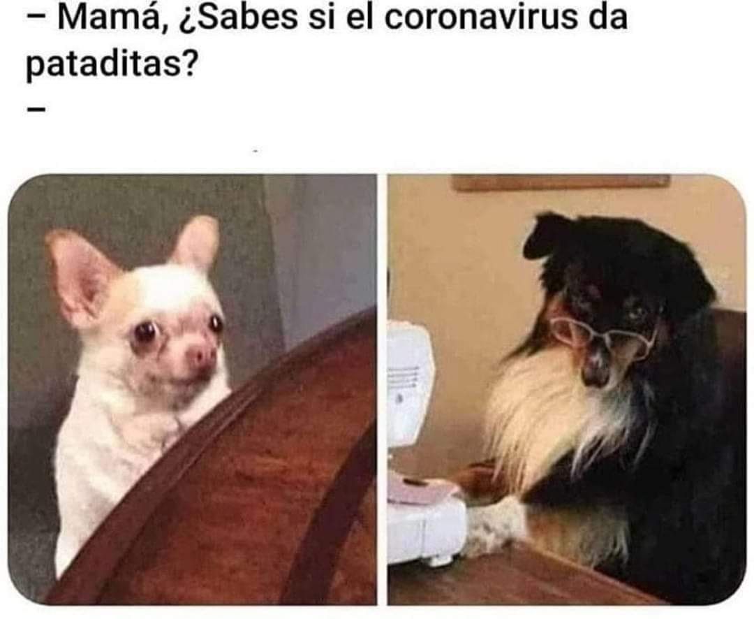 Mamá, ¿Sabes si el coronavirus da pataditas?