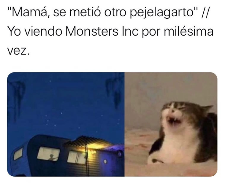 "Mamá, se metió otro pejelagarto". // Yo viendo Monsters Inc por milésima vez.