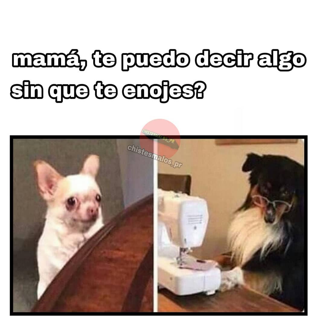 Mamá, te puedo decir algo sin que te enojes? Memes