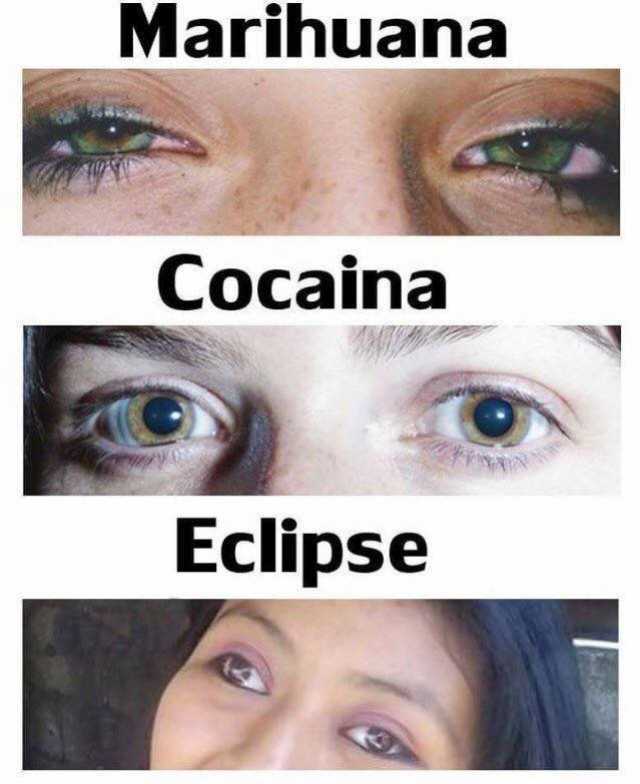 Marihuana. / Cocaína. / Eclipse.