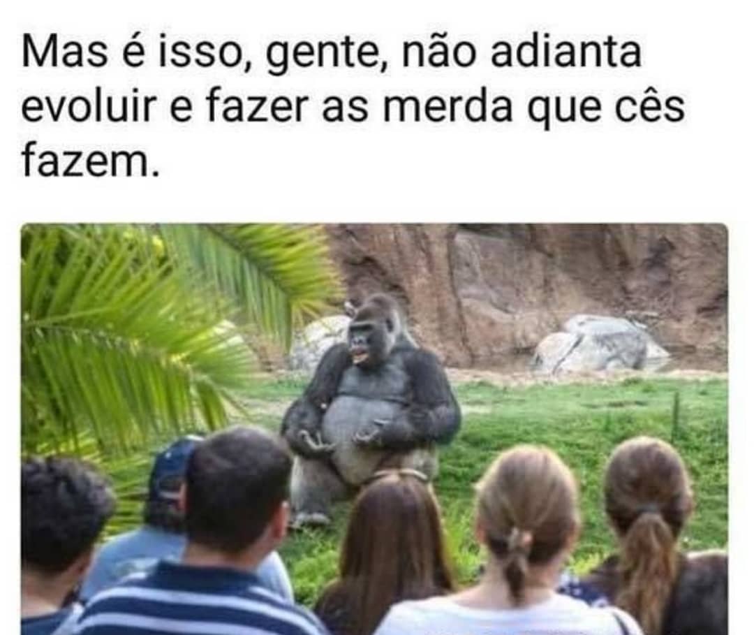 Mas é isso, gente, não adianta evoluir e fazer as merda que cês fazem.