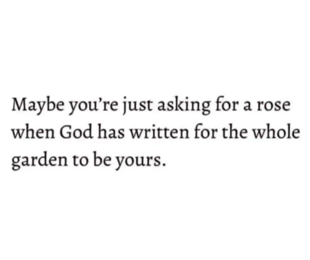 Maybe you're just asking for a rose when God has written for the whole garden to be yours.