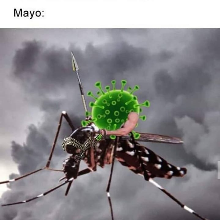 Mayo: