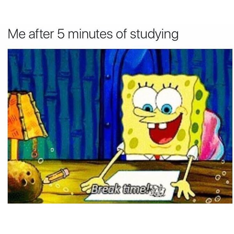 Me after 5 minutes of studying. Break time!