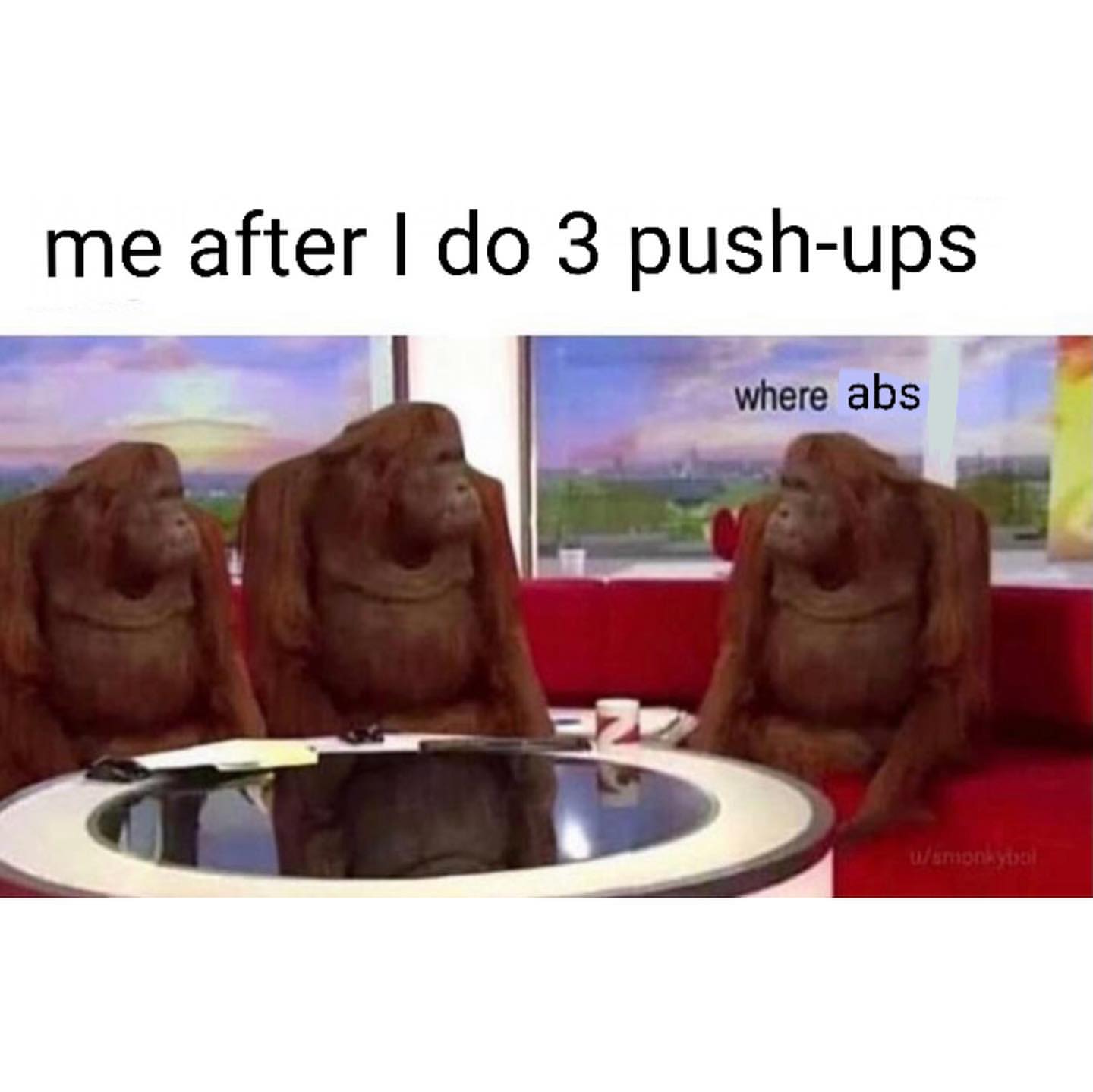 Me after I do 3 push-ups. Where abs.