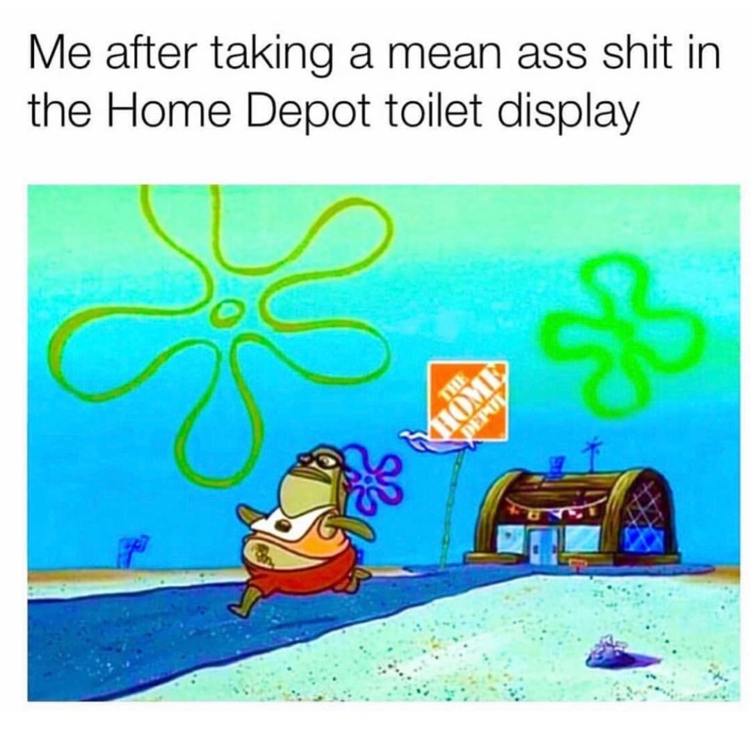 Me after taking a mean ass shit in the Home Depot toilet display.