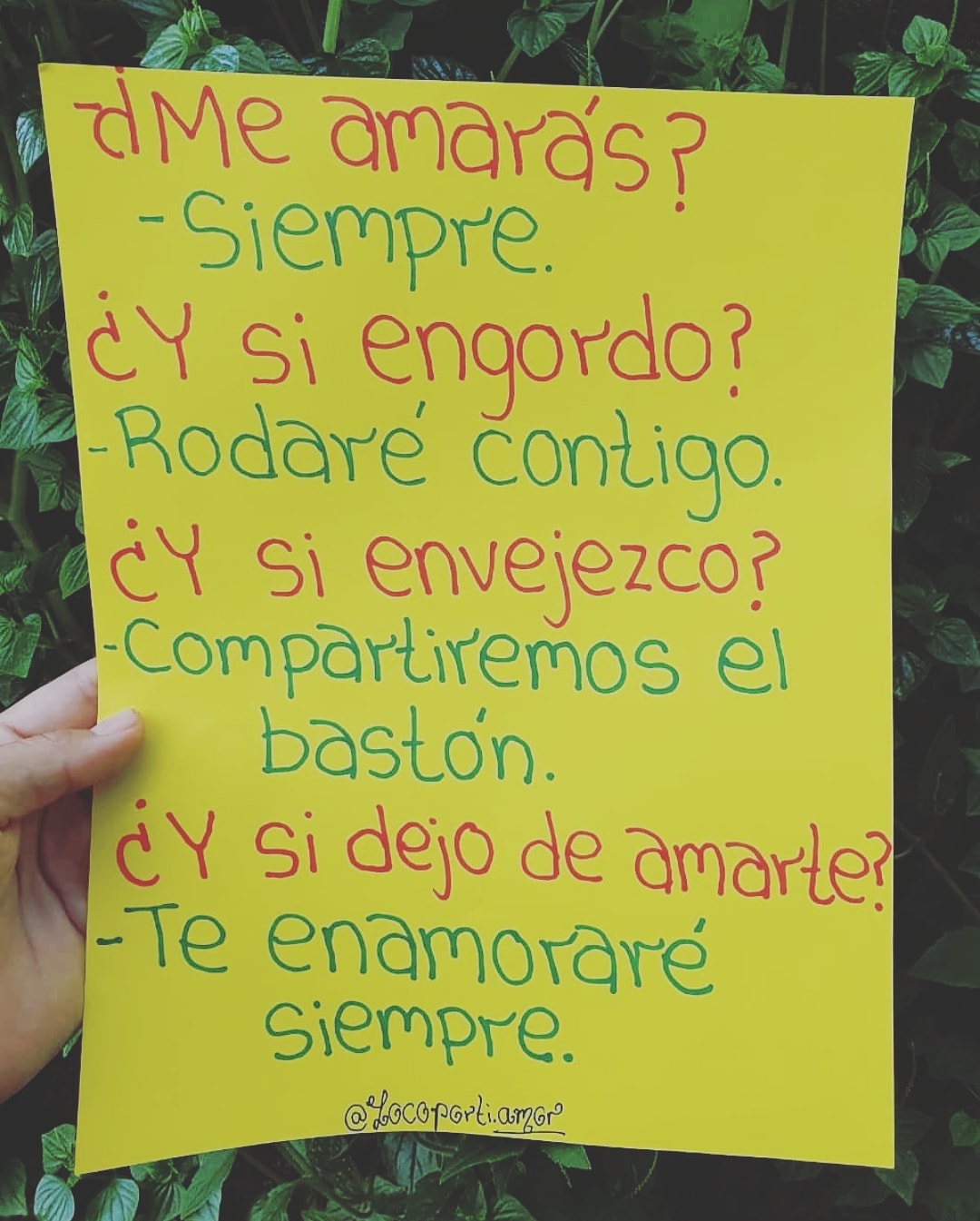 ¿Me amarás? Siempre. ¿Y si engordo? Rodaré contigo. ¿Y si envejezco? Compartiremos el bastón. ¿Y si dejo de amarte? Te enamoraré siempre.