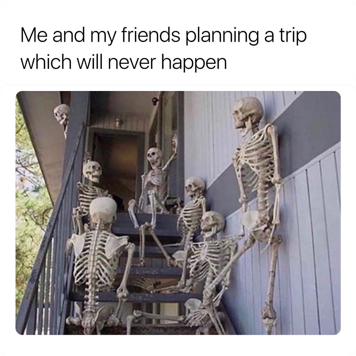 Me and my friends planning a trip which will never happen.