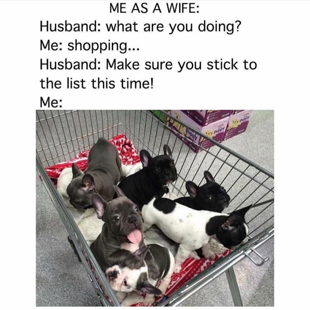 Me As A Wife Husband What Are You Doing Me Shopping Husband