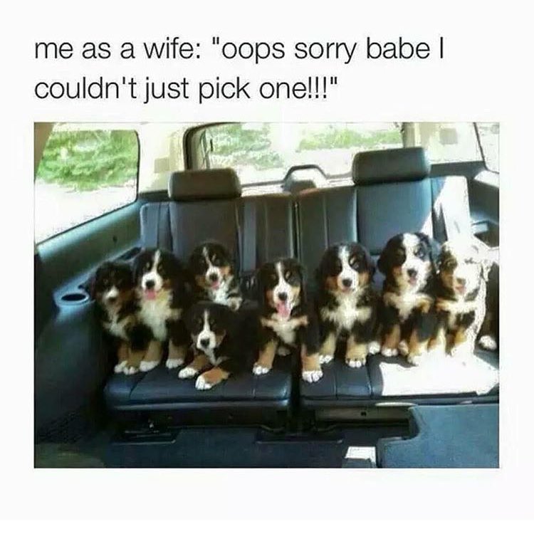 Me as a wife: "oops sorry babe I couldn't just pick one!!!"
