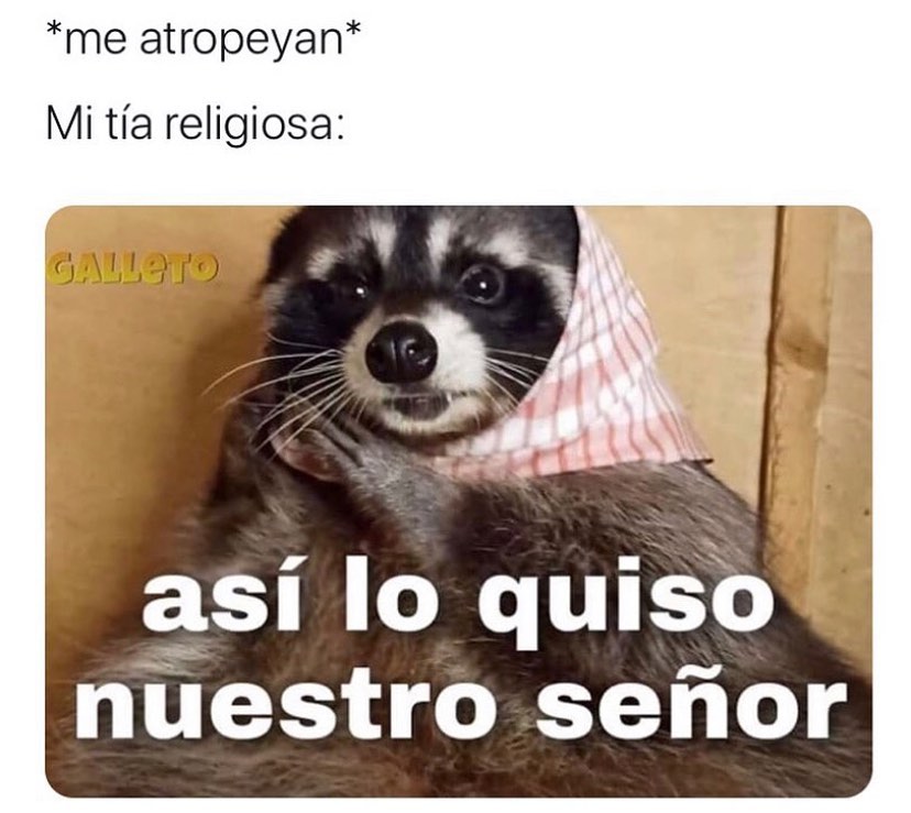 *Me atropeyan* Mi tía religiosa: Así lo quiso nuestro señor.