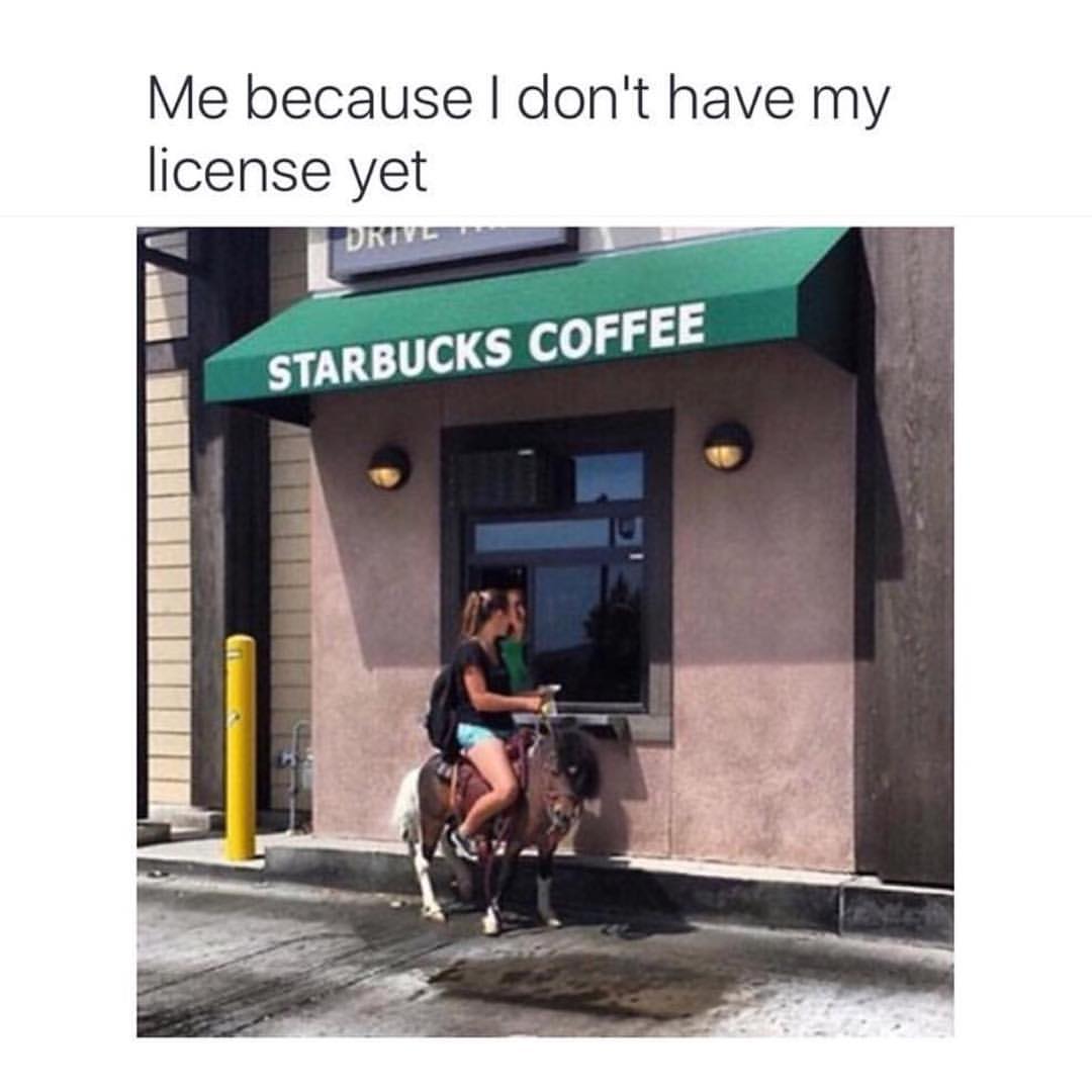 Me because I don't have my license yet. Starbucks coffee.