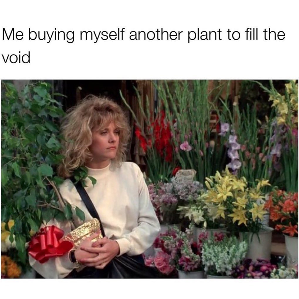 Me buying myself another plant to fill the void.
