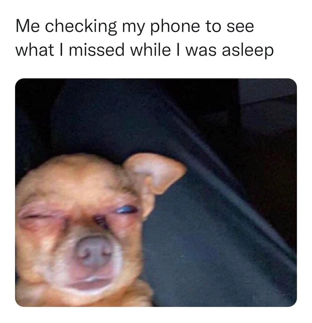 Me checking my phone to see what I missed while I was asleep.