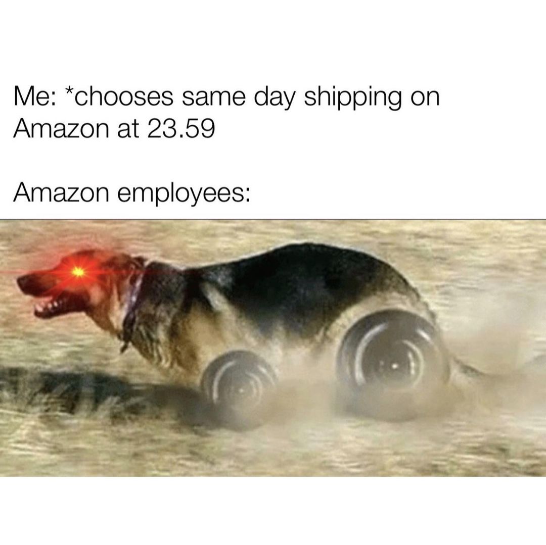 Me: *Chooses same day shipping on Amazon at 23.59. Amazon employees: