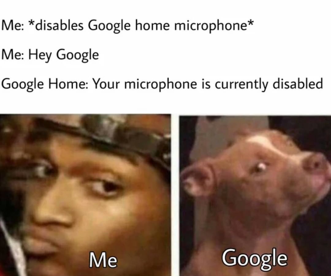 Me: *disables Google home microphone*  Me: Hey Google.  Google Home: Your microphone is currently disabled.  Me. Google.