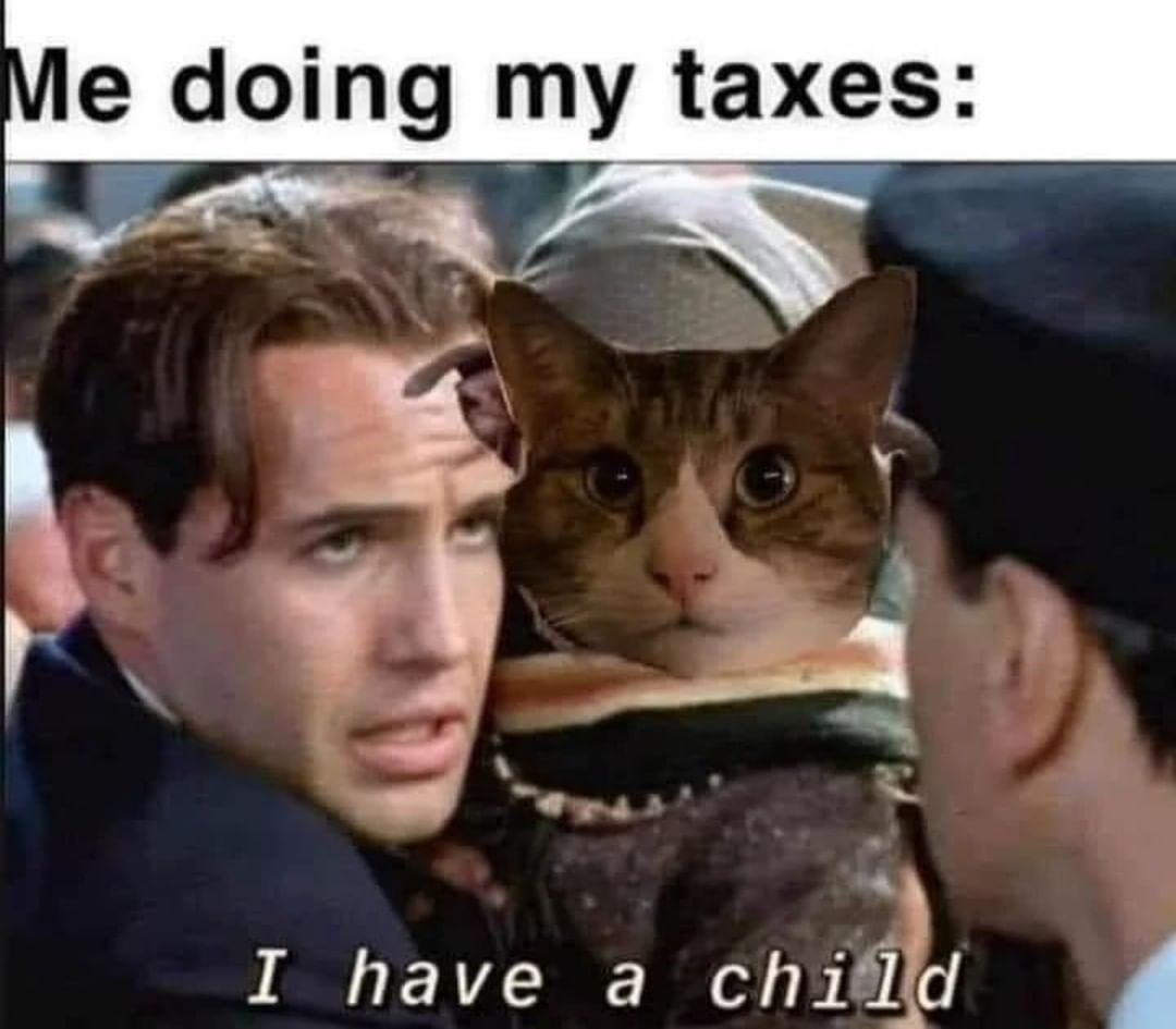 Me doing my taxes: I have a child.