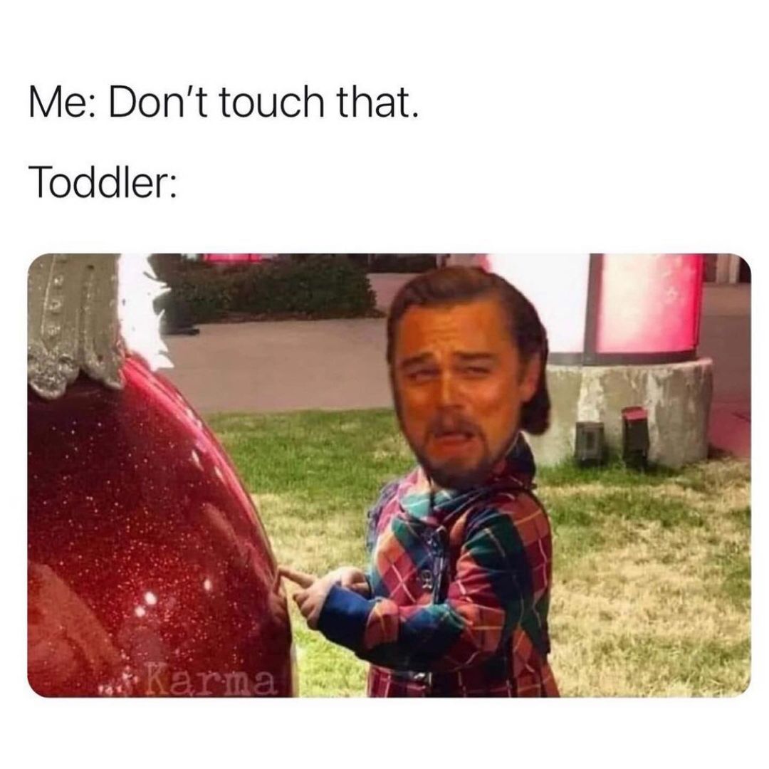 Me: Don't touch that. Toddler: