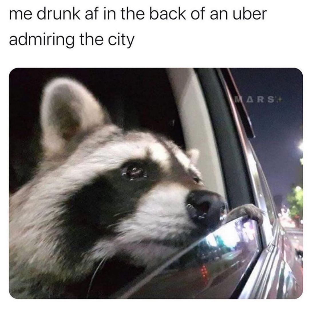 Me drunk af in the back of an Uber admiring the city.