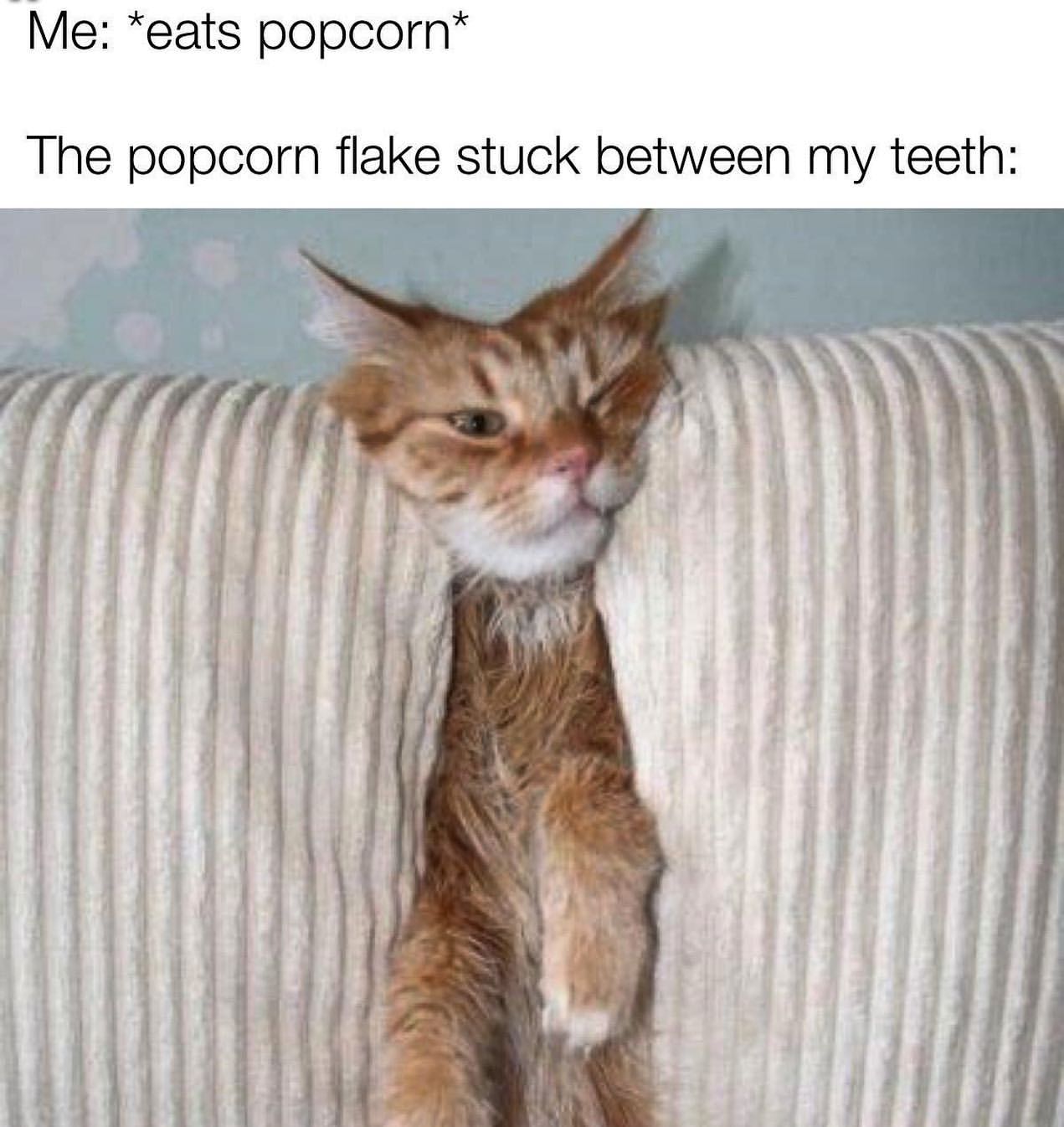 Me: *eats popcorn*  The popcorn flake stuck between my teeth: