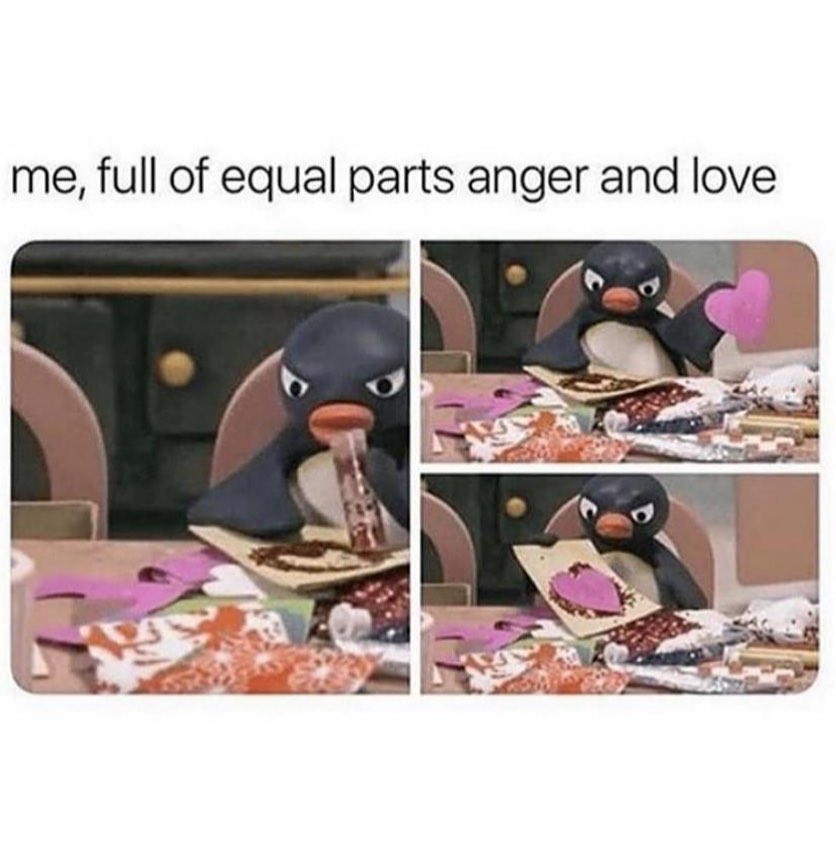 Me, full of equal parts anger and love.