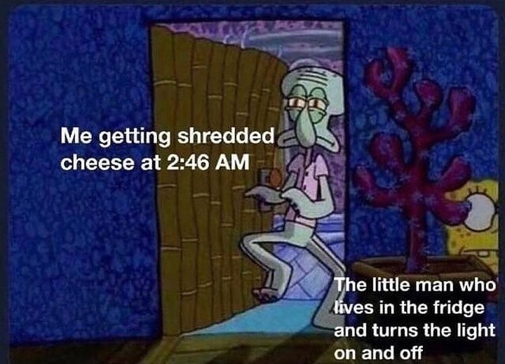 Me getting shredded cheese at 2:46 AM. The little man who lives in the fridge and turns the light on and off.