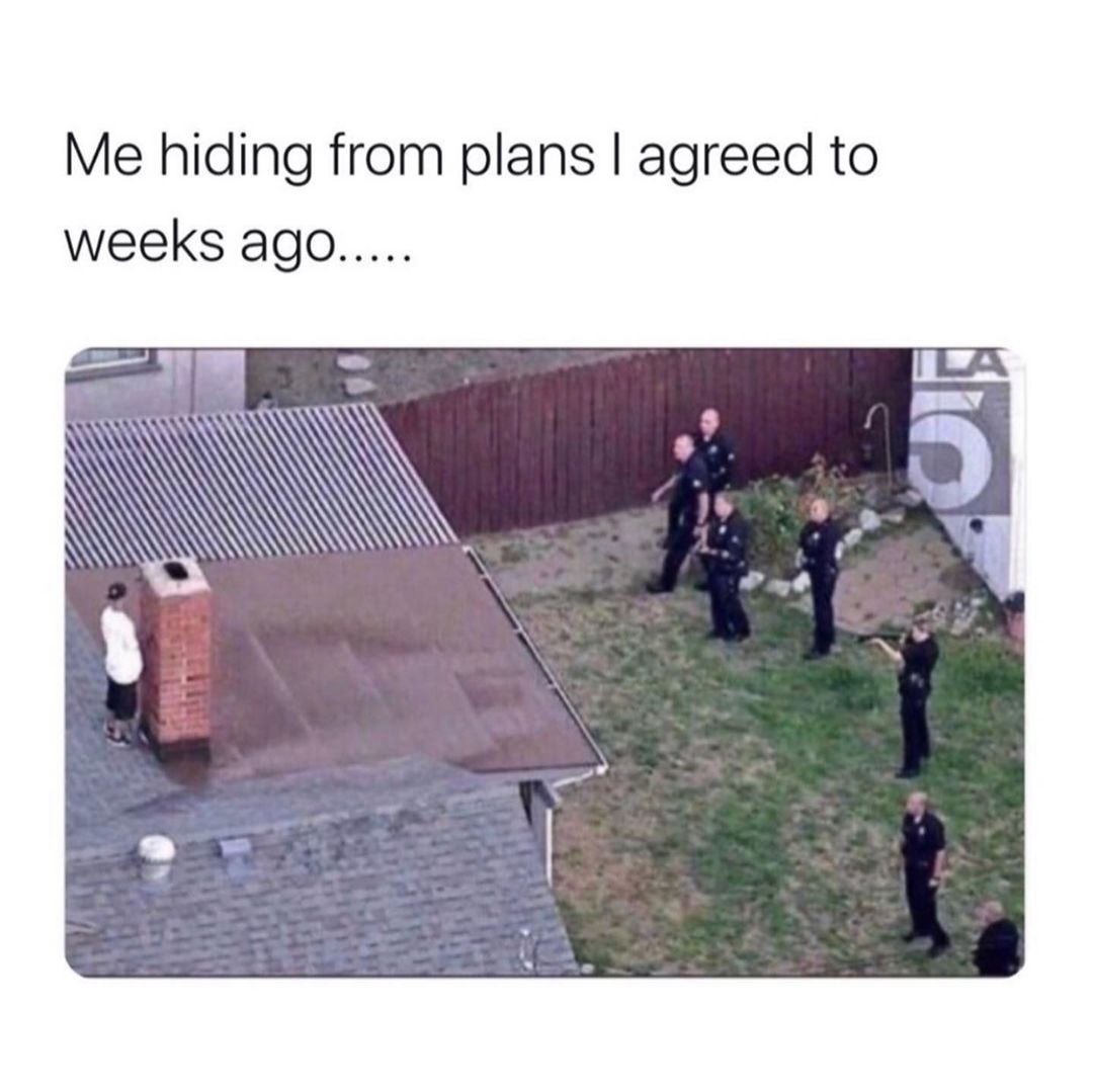 Me Hiding From Plans I Agreed To Weeks Ago Funny