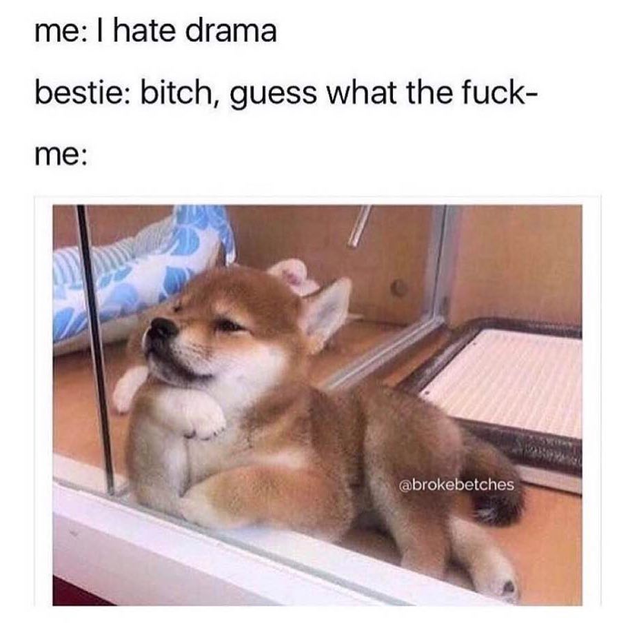 Me: I hate drama bestie: Bitch, guess what the fuck. Me: